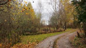 Plot with PP for sale in Kirkhill photo